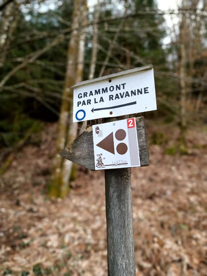 Gite De La Ravanne Ramonchamp エクステリア 写真
