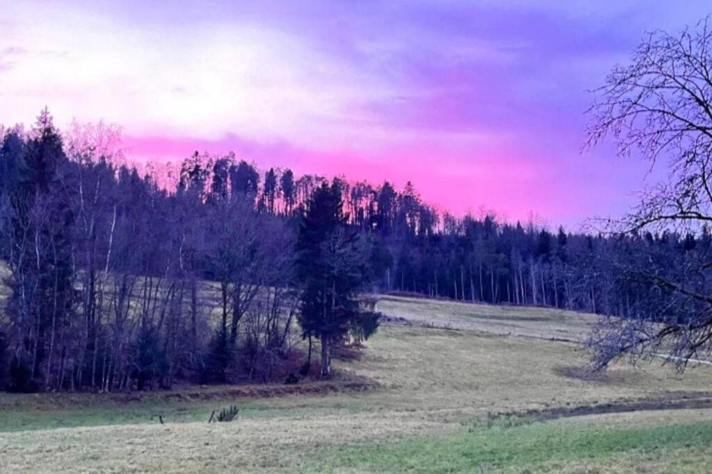 Gite De La Ravanne Ramonchamp エクステリア 写真